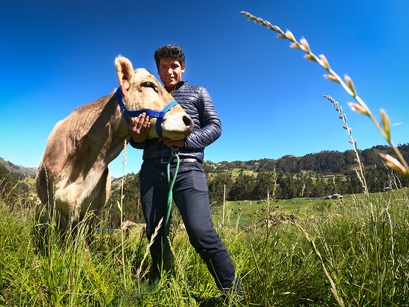 FONCREAGRO - Wilson Llovera